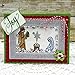 The Stamps of Life Christian Christmas Nativity Stamps and Dies for Card Making and Scrapbooking by Stephanie Barnard - Nativity2Stamp and Nativity Die-Cuts