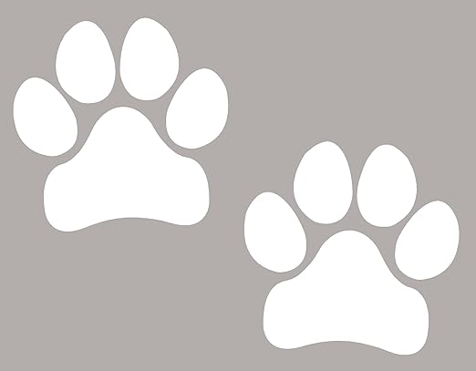 vibrant life dog toys reviews