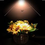 Caldarax 8 Pack MR16 Halogen Bulbs 12V 35W GU5.3 2700K 400LM Dimmable view 4