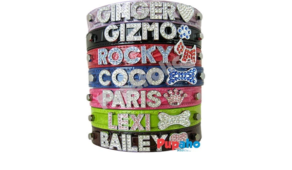 parisian pet croc texture personalized dog collar