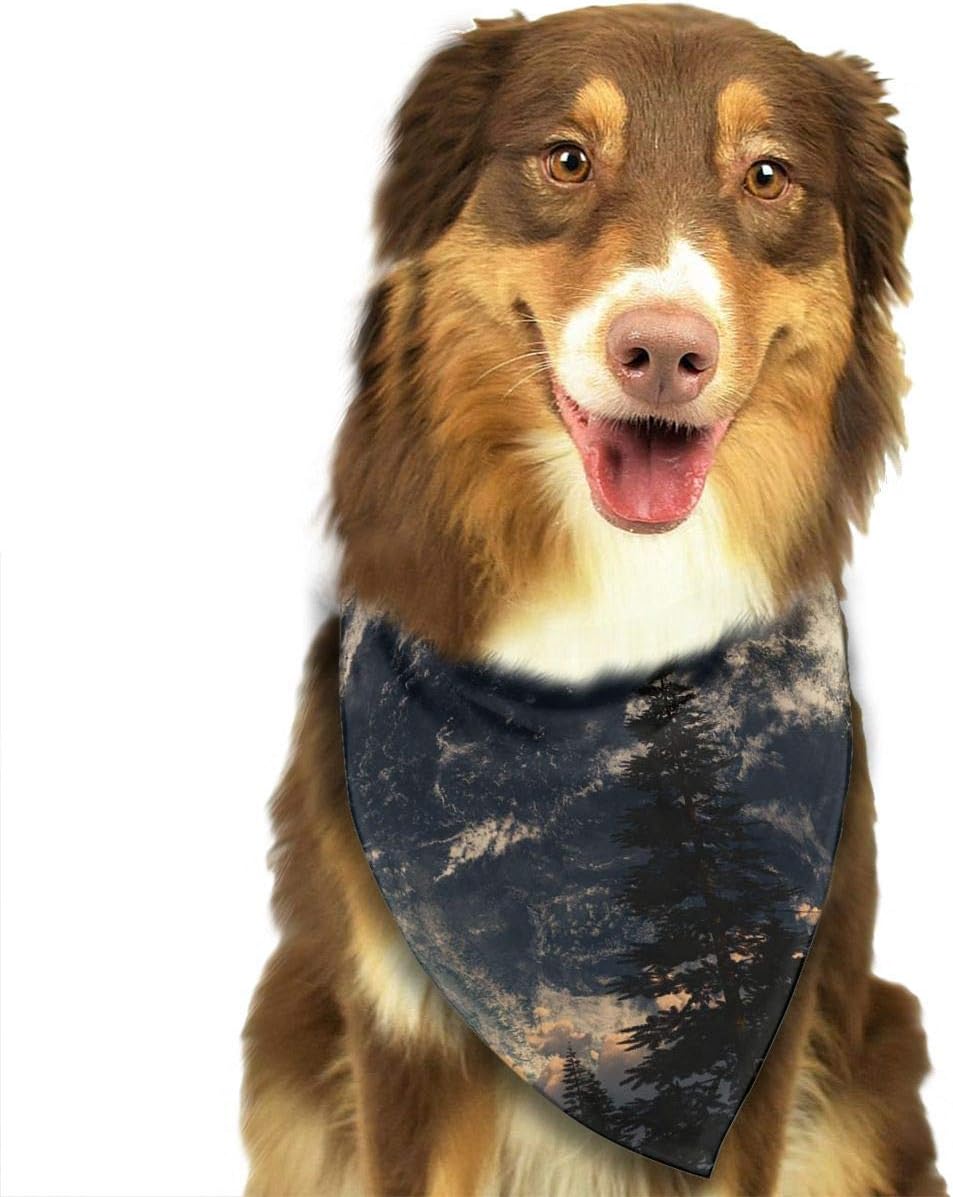 Amazon Address Verb Dog Bandana Pet Scarf SCI Lights Moon Clouds 