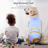 Kuoser Dog Recovery Suit Premium Cotton Spandex Blue XS Post Surgery view 7