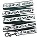 NCAA PET Leash, Large, Michigan State Spartans, Dog Leash, Shiny & Colorful Leash for Dogs & Cats Licensed by The NCAA