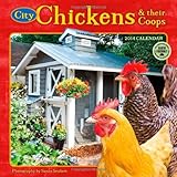 City Chickens & their Coops 2014 Wall Calendar by 