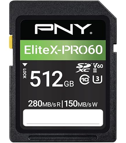 Amazon.com: 512GB UHS-II SD Card V60 Memory Cards for Professional