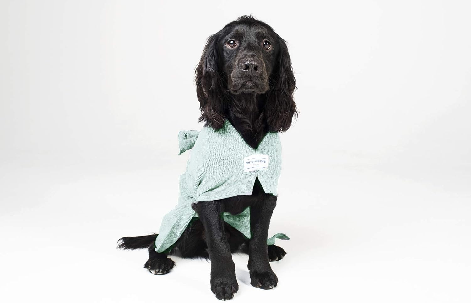 Toby and Alexander Super Absorbent, Quick Drying Dog Bathrobe, Towel Coat Wrap (XS, Sea Foam) - Image 3