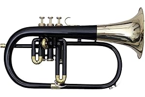 SCEXPORTS Flugel Horn Pitch Three Valve Key Bb Free Hard Case Mouthpiece (Black)