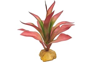 Woyrise Reptile Plants Succulent, Artificial Desert Plant for Terrarium Decor, Bearded Dragon Tank Accessories fit Gecko Lizard Chameleon Ball Python Snake - Guzmania lingulata