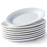 XINLTC 8 Inch Ceramic Appetizer Plates