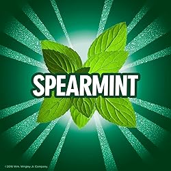 ECLIPSE Chewing Gum Sugar-Free - Spearmint