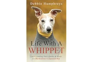 Life With a Whippet: Understanding Their Quirks and Needs for Harmonious Companionship