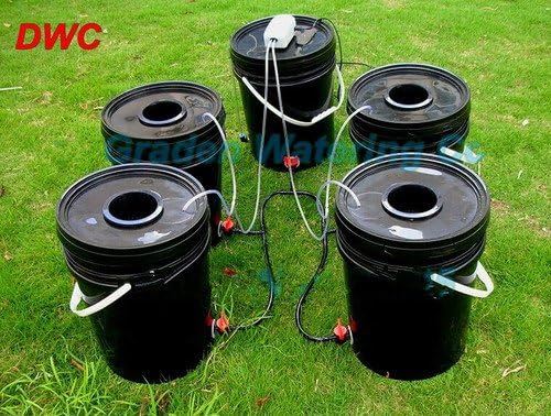 Gowe Hdroponics system 4 Cloner bucket. 20L cloner bucket. DWC. Deep Water Culture