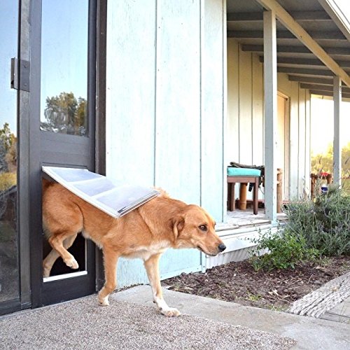 Best Dog Door Reviews and Buyer’s Guide Hellow dog