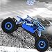 RC car,DeXop 2.4HZ Electric Rock Crawler Radio Control Cars Off Road high speed Racing Remote Control Cars-blue