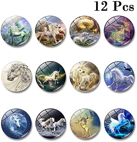 Powerful Stainless Steel Refrigerator Magnets 12 Pcs - Strong Neodymium Refrigerator Magnets for Magnetic Whiteboards Dry Erase Boards and Strong Fridge Magnets (Unicorn)
