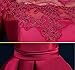 Fanhao Women's Off The Shoulders Lace Sleeves Short Evening Gown Cocktail Dress
