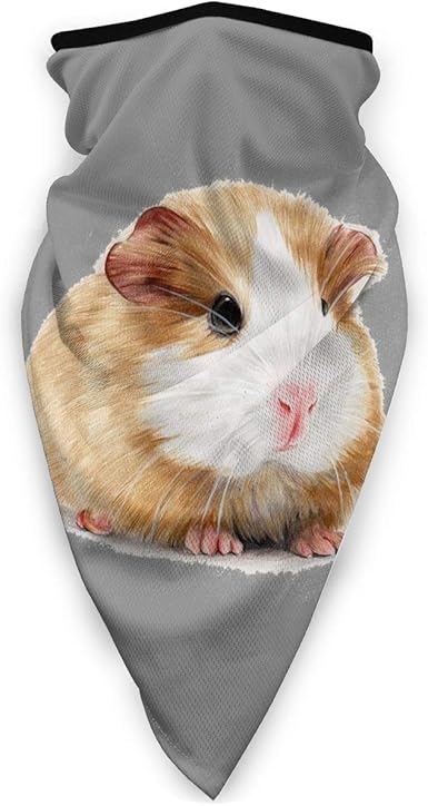 guinea pigs and cold weather