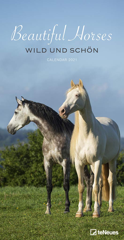 Beautiful Horses 2021 Slim Poster Calendar