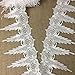 Trim Lace Holiday Amaryllis Goatee Design Venise by The Yard, 6