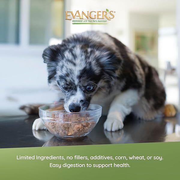 EVANGER’S HERITAGE CLASSIC BEEF DOG FOOD – 12 COUNT, 12.5 OZ EACH – GRAIN & GLUTEN FREE, SINGLE-SOURCE PROTEIN – KOSHER QUALIFIED & ENDORSED BY CHICAGO RABBINICAL COUNCIL
