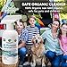 Greenerways Organic All-Purpose Cleaner, Natural, USDA Organic, Non-GMO, Best Household Multi Surface Spray Cleaner for Home, Glass, Kitchen, Bathroom, Shower, Window (16 Fl Oz (Pack of 2))