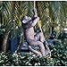 Design Toscano Makokou The Climbing Monkey Statue
