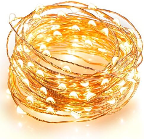 Ottertooth Outdoor LED String Lights, 33ft DC12V Powered Weatherproof 100 LEDs Fairy Lights, Copper Wire Starry String Lights for Christmas Tree, Bedroom Party Decoration - Warm White