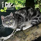 Cat Lovers 2018 7 x 7 Inch Monthly Mini Wall Calendar, Animals Domestic Cats by 