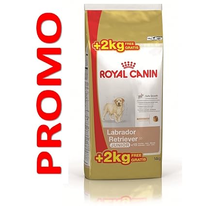 royal canin labrador junior review