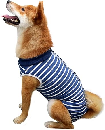 t shirt instead of cone for dog