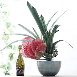 DODXIAOBEUL 3 PCS 27" Artificial Anthurium Lily