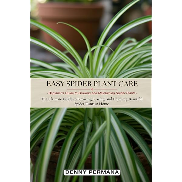 Spider Plant Care For Beginners: The only book you need for caring and  growing the humble spider plant whether your new to house plants or you're  an experienced house parent: Plants, All