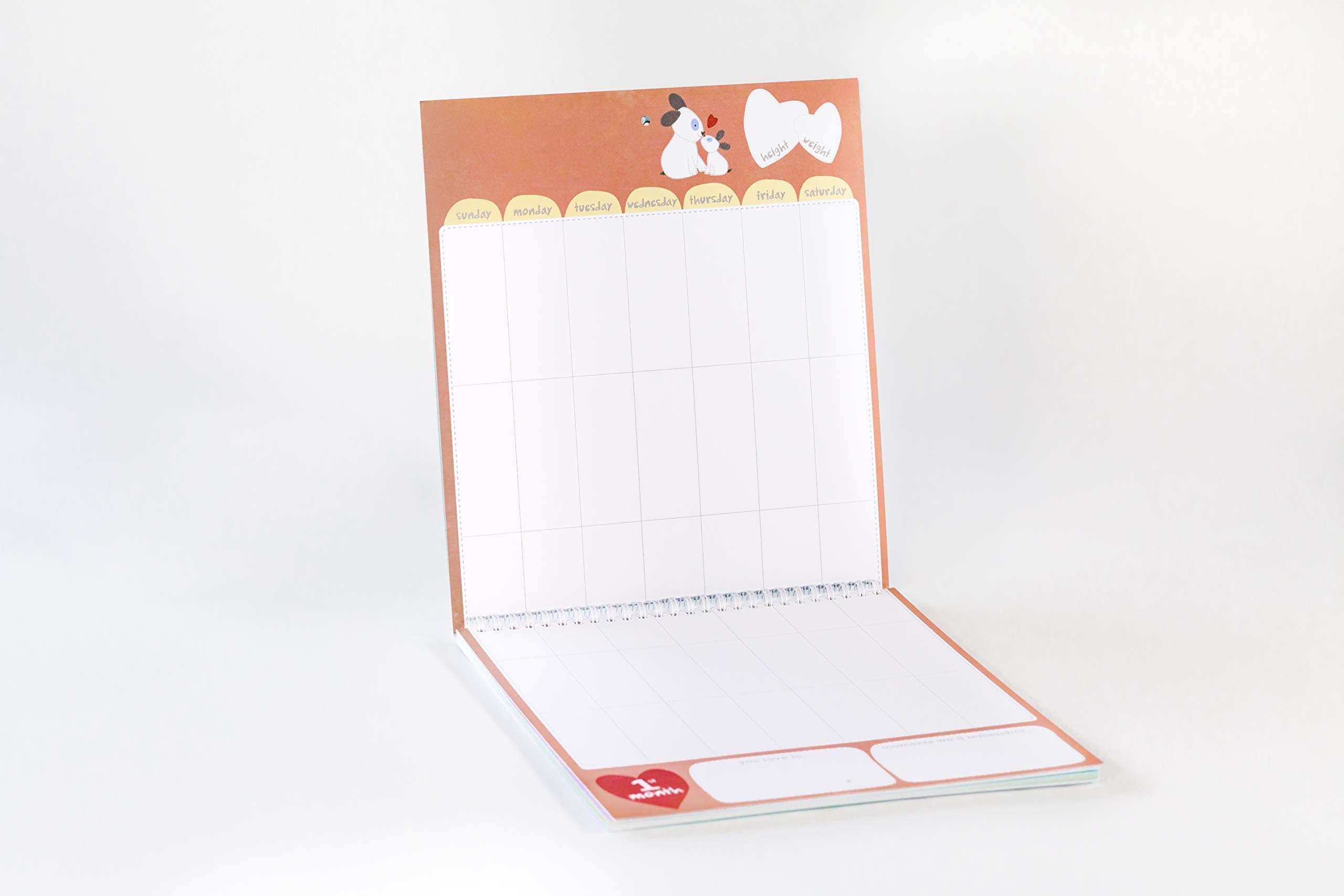 Baby's First Year: A Welcome Little One Keepsake, Memories Journal and Undated Monthly Calendar to Hang & Display (baby shower gifts for new parents) (Welcome Little One Baby Gift Collection)