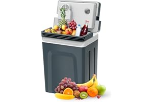 SubSun Electric Cooler and Warmer with Handle，27 Quart (25 L) Portable Thermoelectric Fridge， Car Fridge Cooler with 12V DC & 110 AC for Camping, Travel & Picnics,Grey