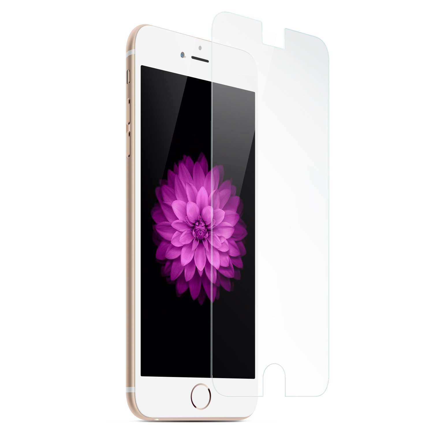 Ganvol Premium Tempered Glass Screen Protector for Apple iPhone 6