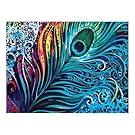 Custom Peacock Feather Canvas Print 16" x 12" Inch, Stretched and Framed Artwork Decor Wall Living room Office Art Abstract Peacock Feather Oil Paintings Picture Canvas Print Home Decor