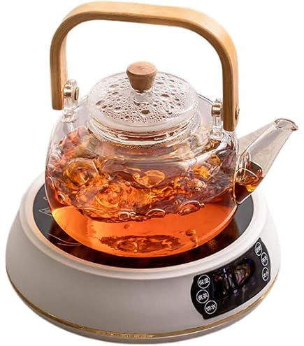 Amazon.com: DFSHGDF977一古法煮茶器煮茶炉日式提梁茶壶泡茶Chinese