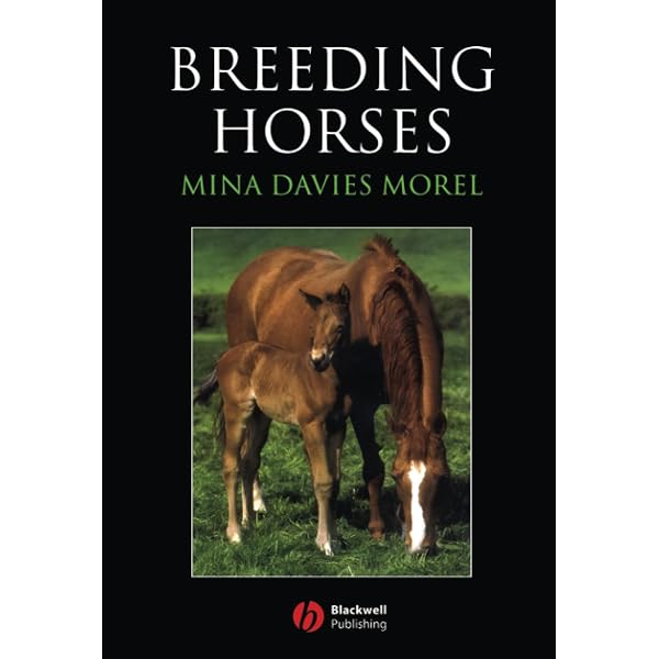 Amazon.com: Horses: 9781579652746: Arthus-Bertrand, Yann, Gouraud