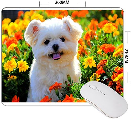Premium Quality Pattern Anti Slip Computer PC Mouse Mat Square Square 210x260mm Dog in flowers 4