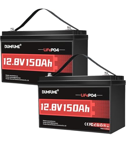 Amazon.com: 2 Packs 12V 100Ah LiFePO4 Lithium Battery, Built in