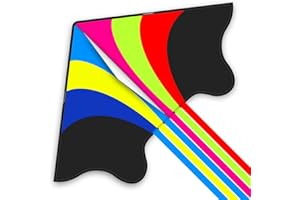 Mint's Colorful Life Delta Kite for Kids & Adults, Extremely Easy to Fly Kite, Best Kites for Beginner