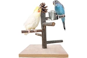 WQY GroceryShop Bird Stand Perch with Feeder Cups Dishes, Parrot Perch, Wood Bird Playground Portable Training Stand, Bird Perches for Cage, Table Top Bird Playground