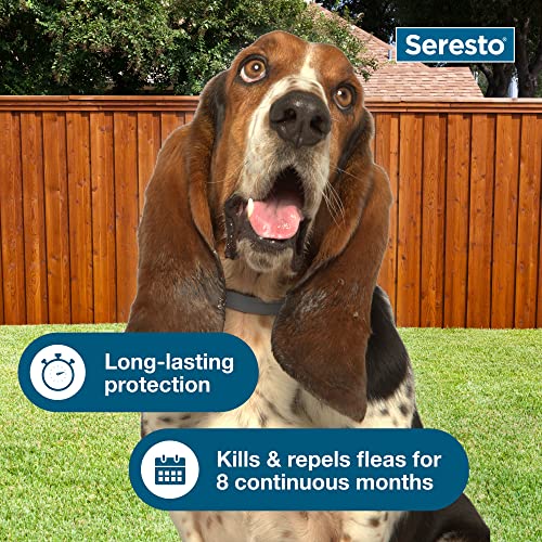Seresto Large Dog Flea & Tick Treatment & Prevention Collar for Dogs Over 18 lbs