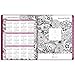 Cambridge Weekly/Monthly Planner, January 2019 - December 2019, Large Size, Professional, Floradoodle (589905)