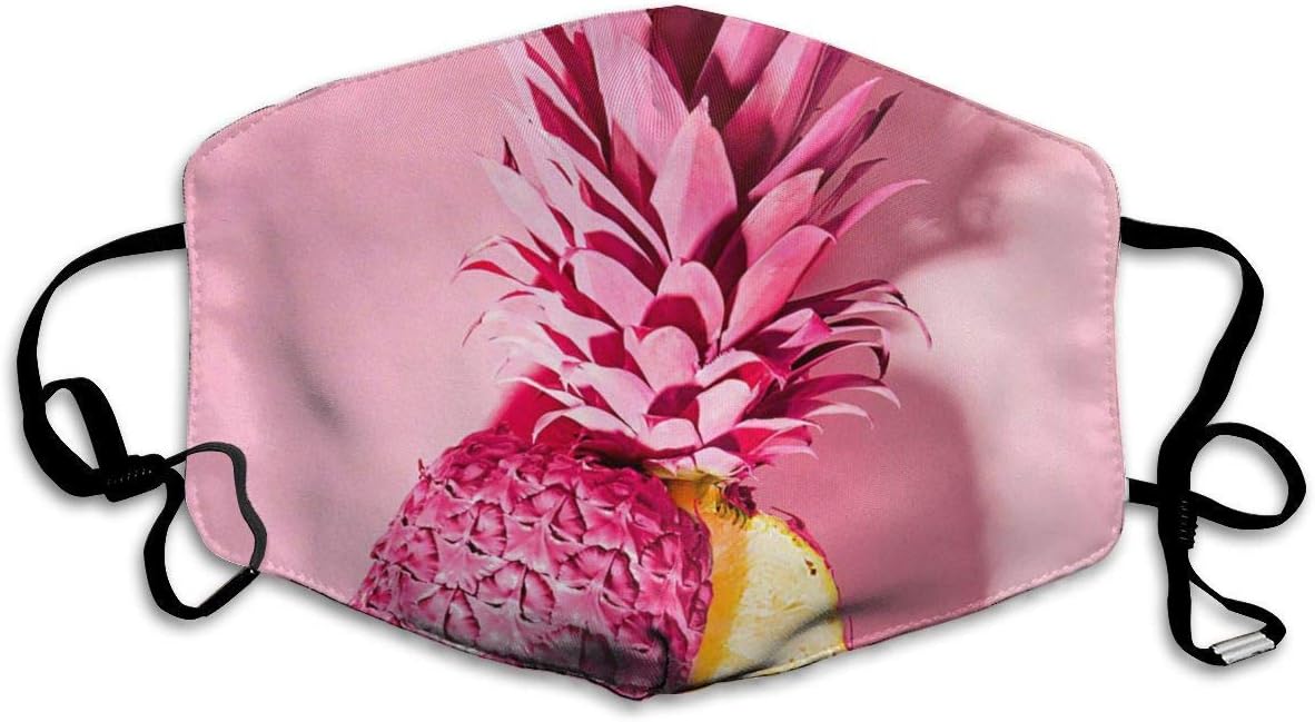 liang4268 Pink Pineapple Fashion Earloop Face Masks Anti-Dust Anti Flu Pollenm Germs Bacteria Virus Smog Face and Nose Cover with Adjustable Elastic Strap Medical Mask