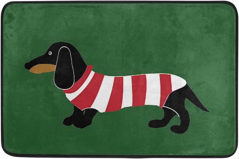 WXLIFE Funny Animal Sausage Dog Doormat Indoor Outdoor Mat, 15