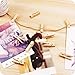 Zhi Jin 10pcs/Set Cute Wooden Clip Pegs Clothespins for Photo Album Postcard Note Paper Decor Clamp with Rope and 2Pcs Non-Trace Hooks, Cactus