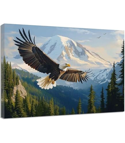 Amazon.com: Impact Posters Gallery Eagle Bald Diving Landing