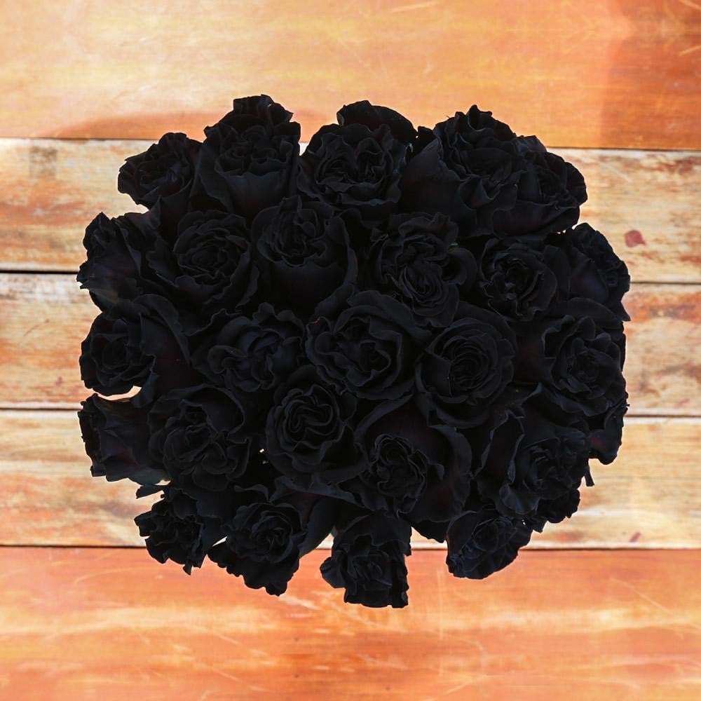 Rosaholics Black Dragon Rose Bouquet Ecuador Direct Farm to Door Delivery (Fresh-Cut-Flowers)-48 Roses