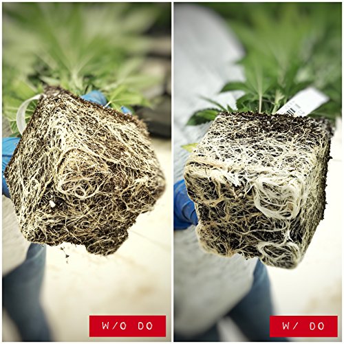 Dissolved Oxygen for Hydroponics and Soil Gardens, Natural Growth Stimulator for Healthy Roots, One Step Rooting Nutrients Solution for Your Hydro Farm, Use for Clipping Starter Clone, Cloner Supplies - Thumbnail 3